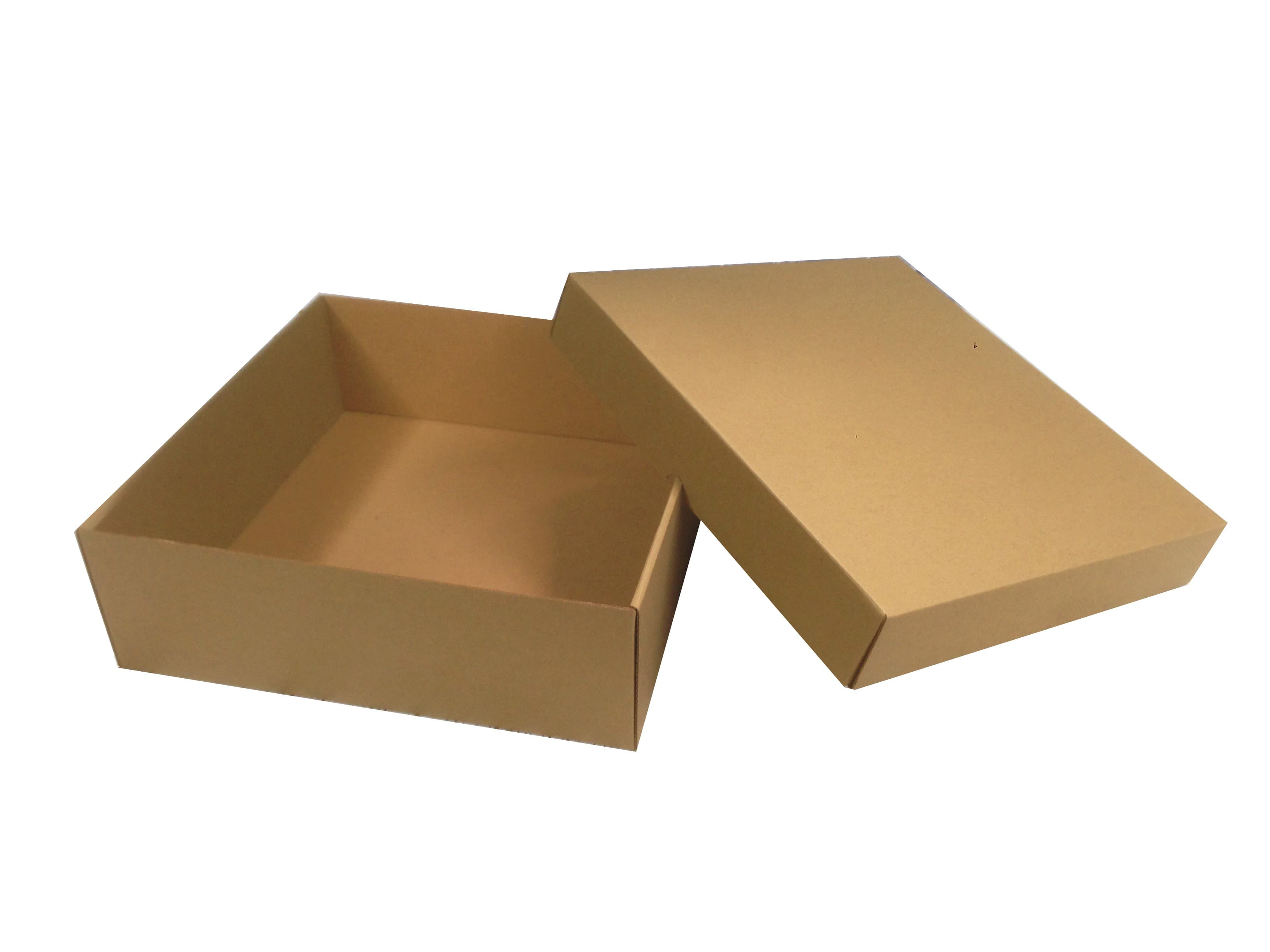 Kapaklı Karton Kutu